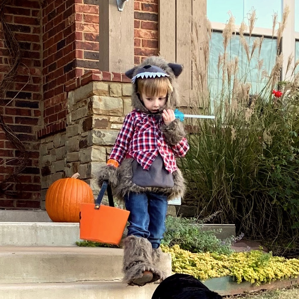 3-4t Toddler Wolf or Werewolf Costume